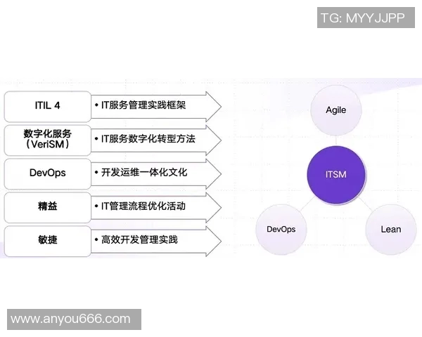 杭州排球队运营革新探索：从传统模式到现代管理的转型之路